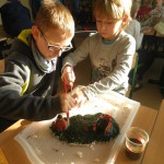 OLYMPUS DIGITAL CAMERA