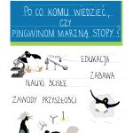 plakat pingwiny