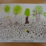 DSC00558 (1)