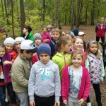IMG_20151006_111044