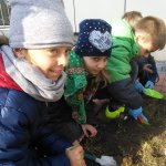 IMG_20151016_134922