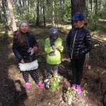 SAMSUNG DIGITAL CAMERA