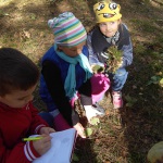 SAMSUNG DIGITAL CAMERA