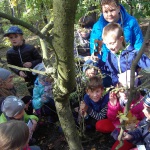 SAMSUNG DIGITAL CAMERA