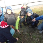 SAMSUNG DIGITAL CAMERA