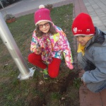 SAMSUNG DIGITAL CAMERA