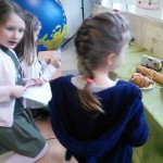 IMG_20151120_133126