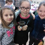IMG_20151208_094549