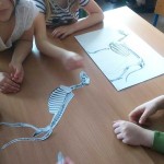 13182965_1101924546531453_205006226_n