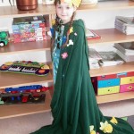 SAMSUNG DIGITAL CAMERA