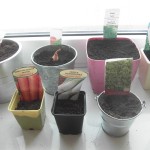 SAMSUNG DIGITAL CAMERA