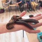 SAMSUNG DIGITAL CAMERA