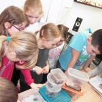 SAMSUNG DIGITAL CAMERA