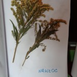 ???????????????????????????????