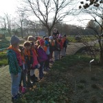 46074279_306902000133481_7734194218339401728_n