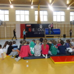 4. pokazy woltyżerki