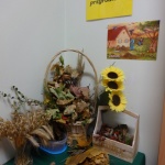 Kącik-przyrodniczy_1