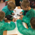 5_Poznajemy pracę weterynarza – warsztaty