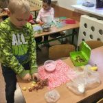 Dzień zdrowego jedzenia – praca wre