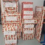 11-Szlachetna Paczka