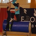 17-Pokaz woltyżerki