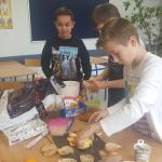 7-Dzień Zdrowego Jedzenia