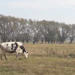 Wycieczka do Grzybowa (4)