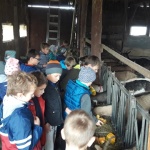 Wycieczka do Grzybowa (8)