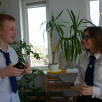 Przed egzaminem (12)